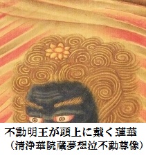 不動明王が頭に頂く蓮の花 不動明王が頭に頂く蓮の花
